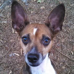 Meet your Posher, Tonya